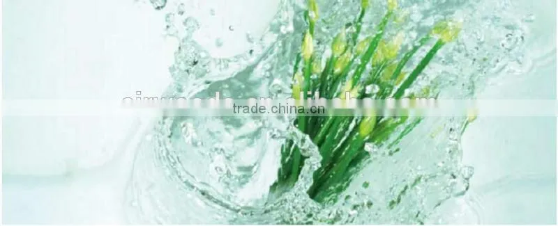 Meat and fish fresh storage refrigeration equipment