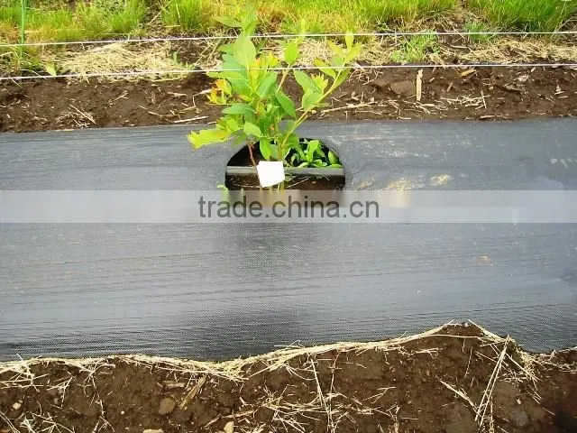 pp/pe woven mesh tree weed mat
