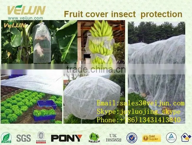 hot water soluble lace