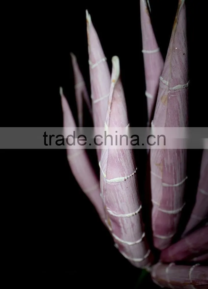 cheap artificial succulent plants artificial tropical plant