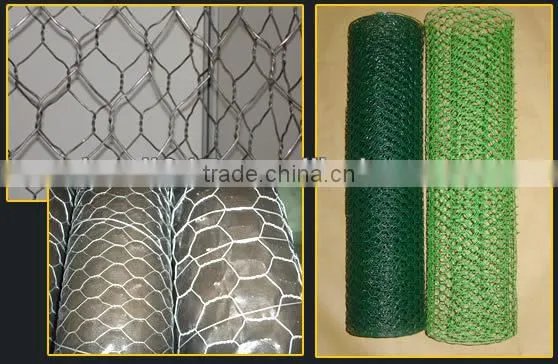 Galvanized Electric Welded Wire Mesh/Welded Netting