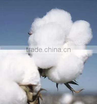 Wholesale high end cotton towel beach towel and yoga towel