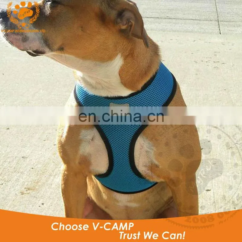 My pet air mesh harness for your little puppy