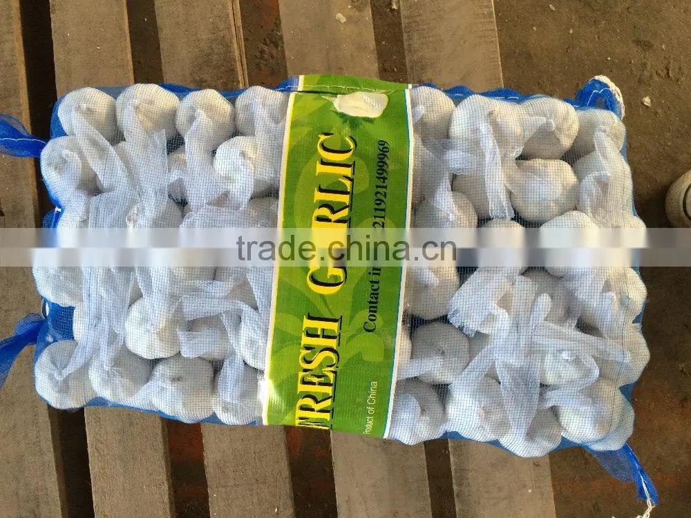 High quality fresh red garlic for export