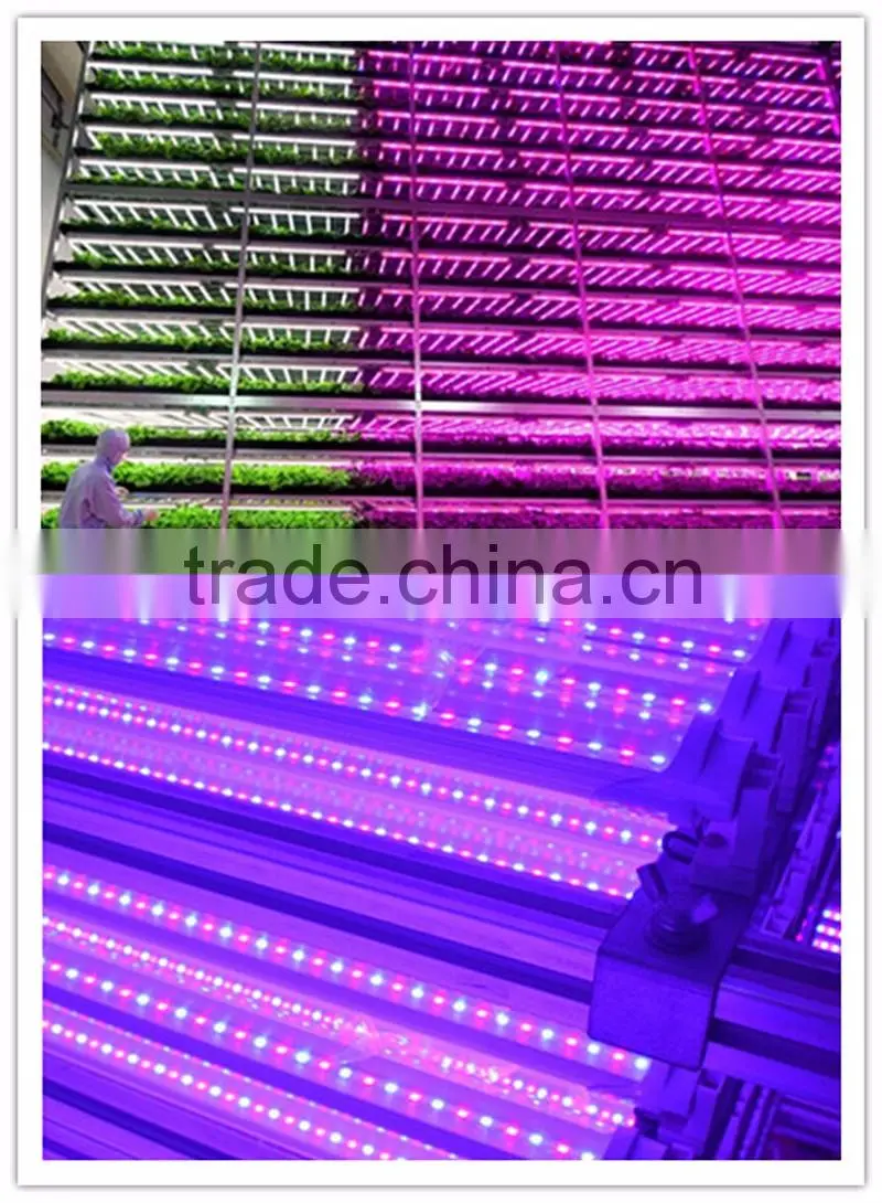 Ce rohs approved 24w t8 fixture high power led grow light outdoor