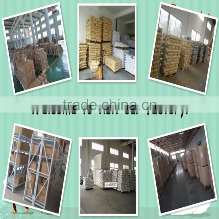 Laminate Pocket Catalogue Paper Folder