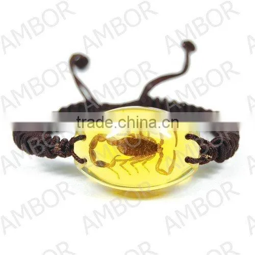 Wholesale real flower insect inserted 2015 fashion bracelet
