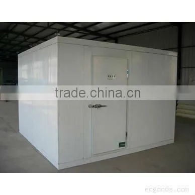 frozen cold storage room