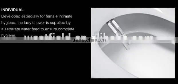 Factory Bathroom Auto-cleaning PP Toliet Seat &Bidet Toilet Built-in