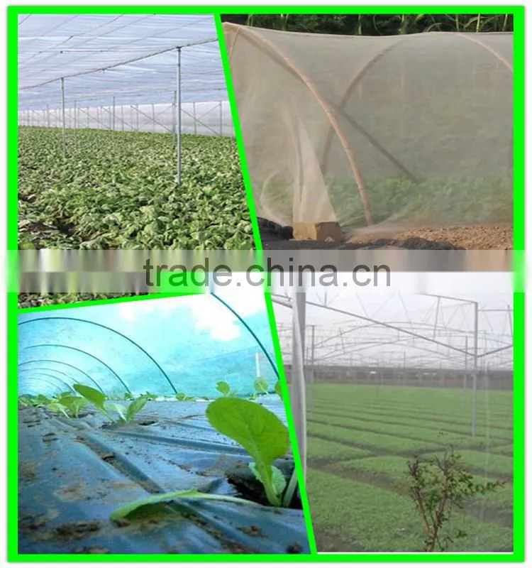 Suntex HDPE nursery roof anti insects sail shade netting