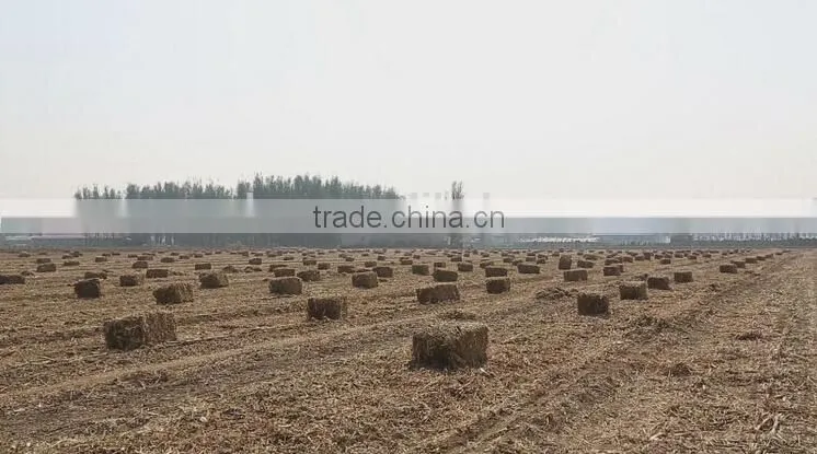 Chinese hay square baler