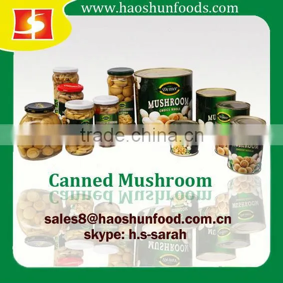 Canned Mushroom Canned Abalone Mushroom