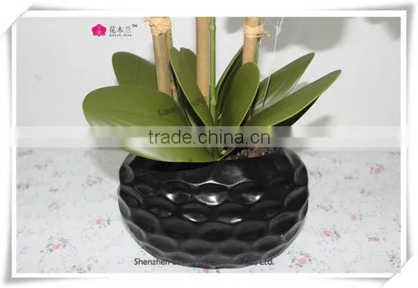plastic flower orchid preserved flower