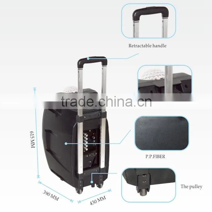 tube amplifer music baby speaker wireless portable microphone speaker system