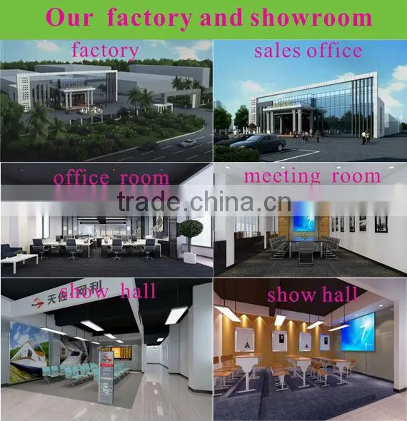 High Back Stainless Steel Metal Outdoor Furniture (TZ-C03S)