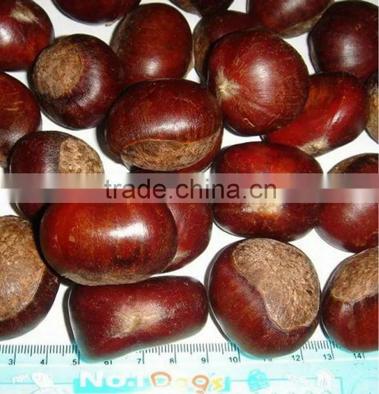 frozen chestnut diced 2014