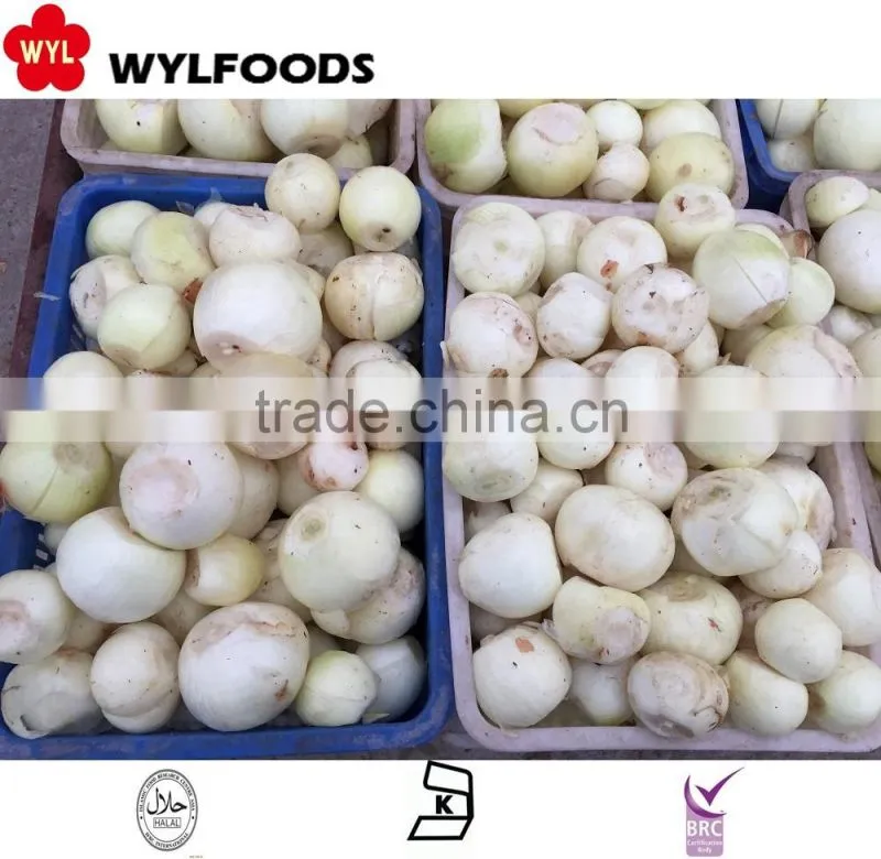 Best price IQF frozen Boletus edulis 2016 in China