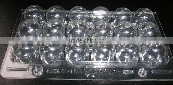 New Design Plastic Quail Egg Tray for Sale