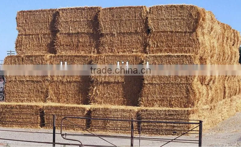 wood pellet plant for sale, sawdust pellet mill, biomass wood pellet machine