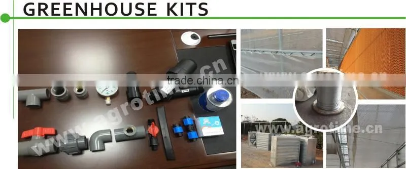 PC sheet covered greenhouse from big greenhouse manufacturer in China