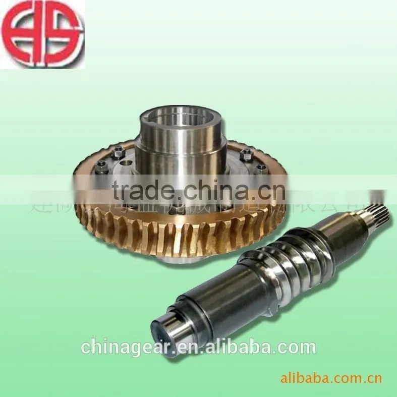 Worm gear