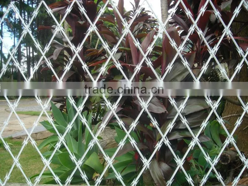 wholesale price razor wire security fencing spikes