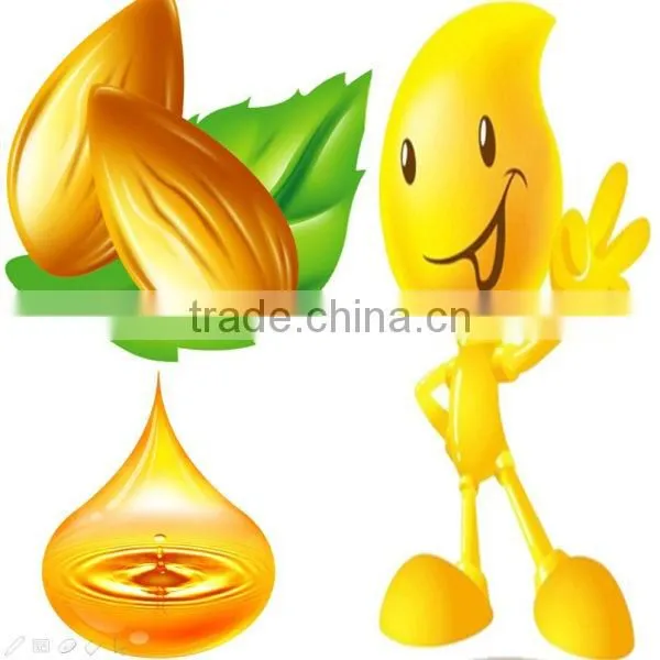 2016 Highest technology almond oil mill machinery