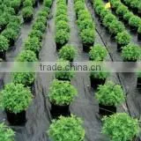 huaxuyang anti-grass pp agricultural mulch woven cloth