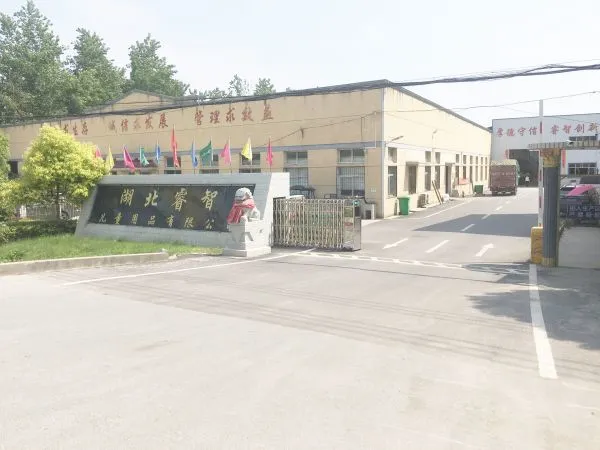 Hubei Ruizhi Children Appliances Co.,ltd company overview - view 1