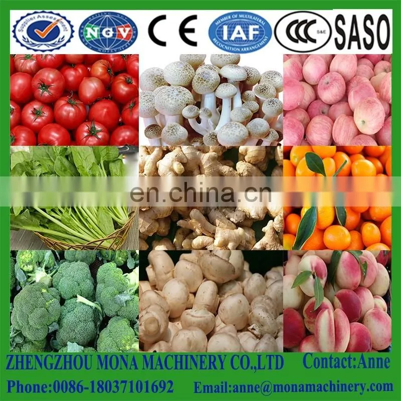 Fruits and Vegetables Washing machine, air and water bubble vegetable washing machine