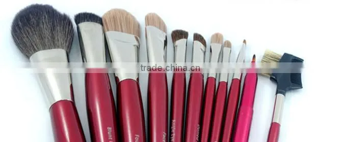 Professional 11pcs cosmetic makeup brush set