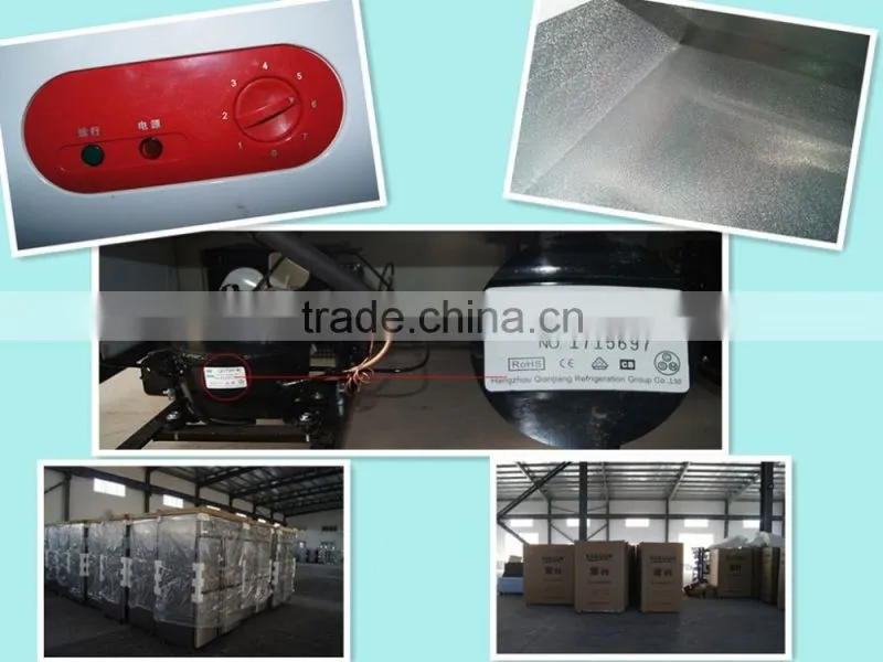 AD-1.2 seafood fresh cooler