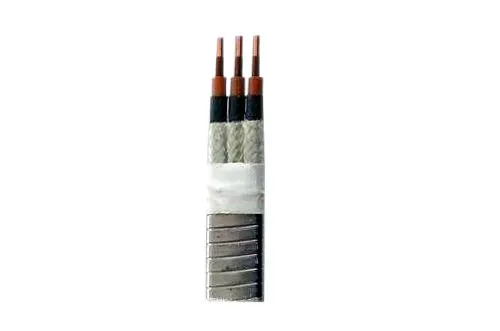 Protección contra congelación para sistemas de protección contra incendios: Diseño de soluciones confiables de cables calefactores.
