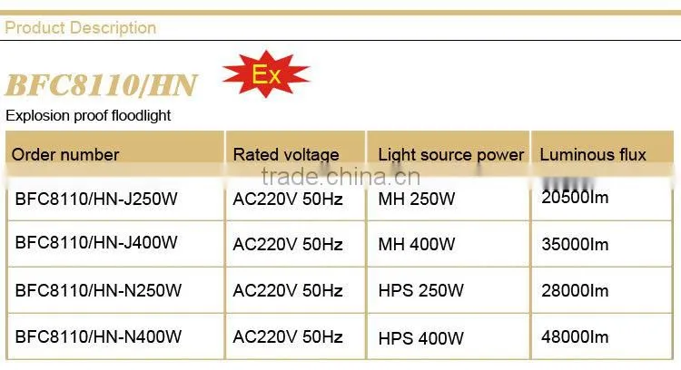 BFC8110/HN Explosion proof floodlight