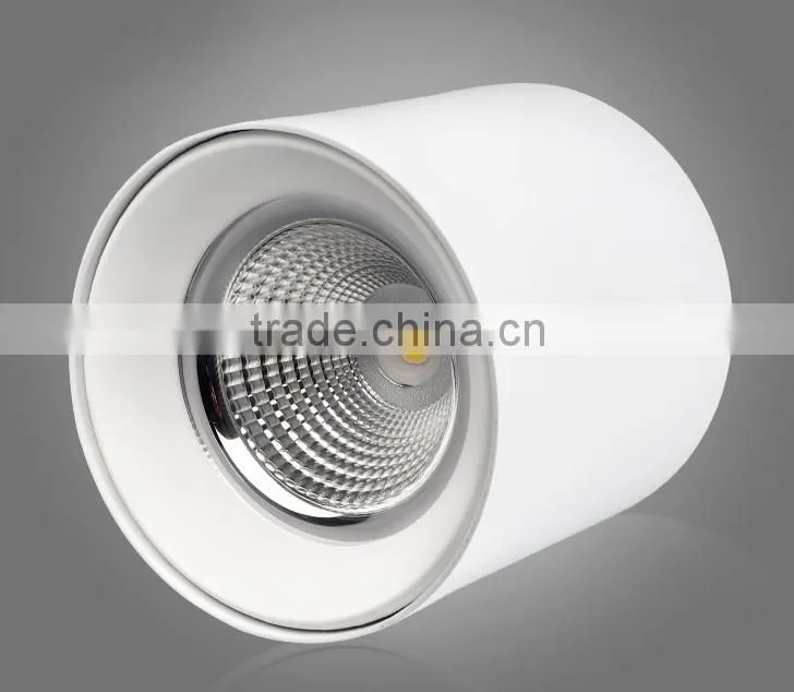 High Quality IP44 Indoor Using CREE Chips Lifud Driver Surface Mount Adjustable 20W 30W COB LED Round Downlight