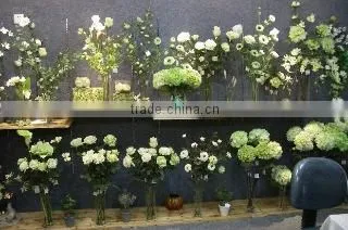 Xiamen Jusfine Products Co., Limited company overview - view 3