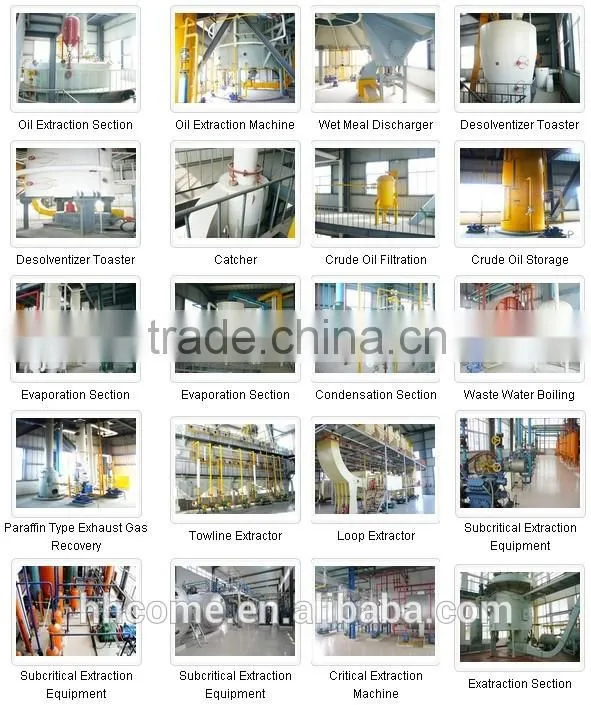 China Hot sale Biodiesel b100 Making Machine Price With Patent