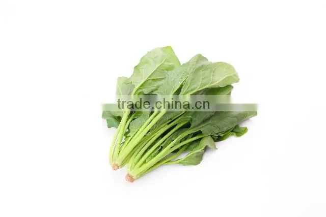 japanese jas organic baby food series spinach puree with cream sauce 100g (from 5 months)