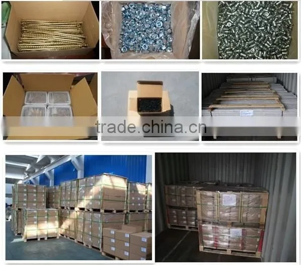 Ningbo WeiFeng high quality low price many kinds of fasteners anchor, screw, washer, nut ,bolt suction cup with screw