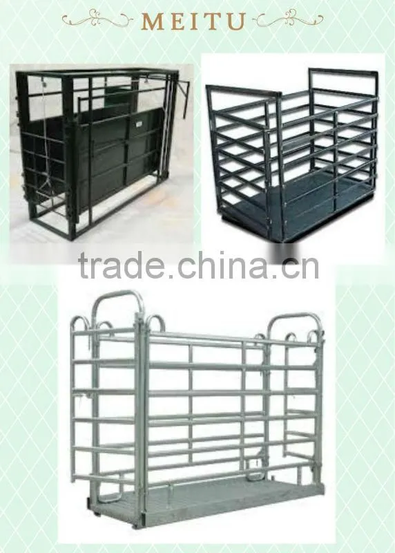 livestock platform scales