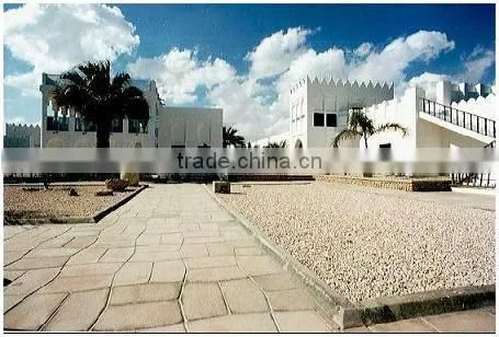 sea freight shipping company China to Canada USA America Australia France Spain Germany England UK Singapore
