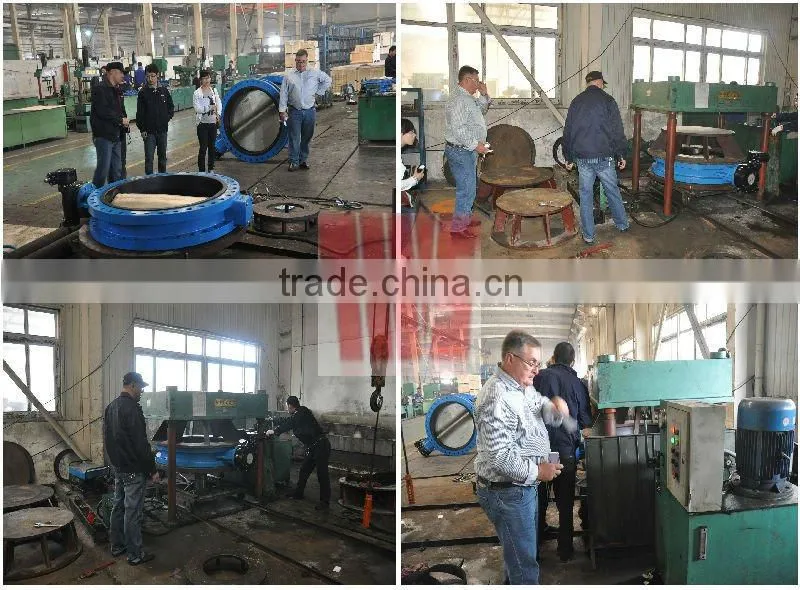 800 Series Cast iron dual plate wafer check valve