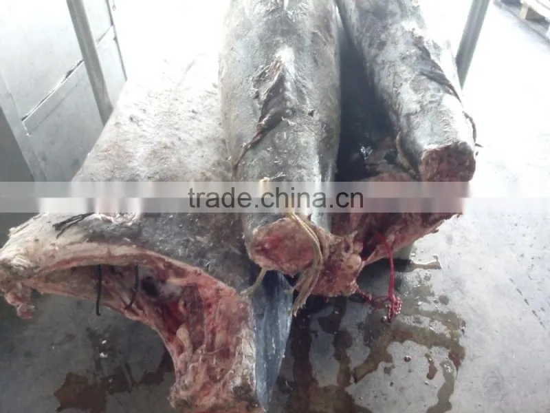 frozen fresh marlin fish/swordfish suppliers