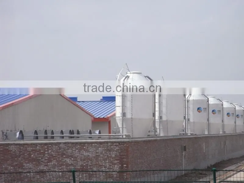 feed storage silo for chicken farm