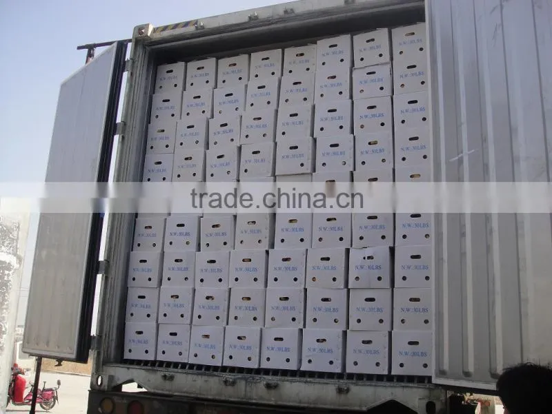 air-dried ginger