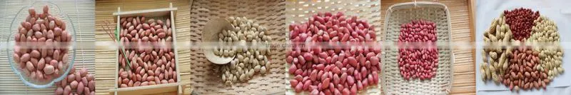 Groundnut Peanut Kernels