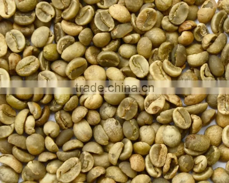 ROBUSTA COFFEE AND ARABICA COFFEE GOOD PRICE GOOD QUALITY