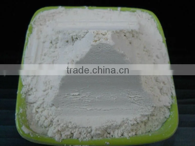 Dehydrated Onion Powder