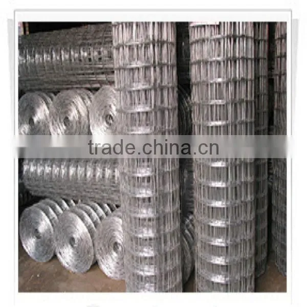 Stainless Steel Welded Wire Mesh