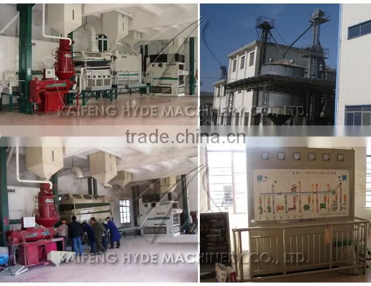 5 t/h Rice seed processing plant for Paddy rice planting